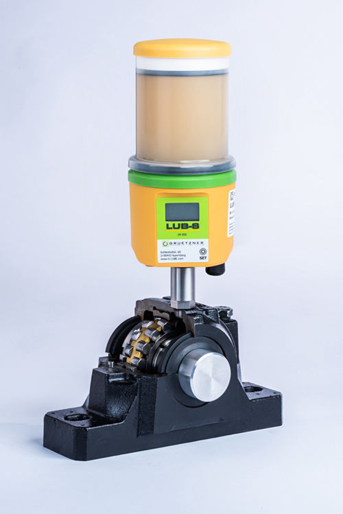Lubricus (Grützner)